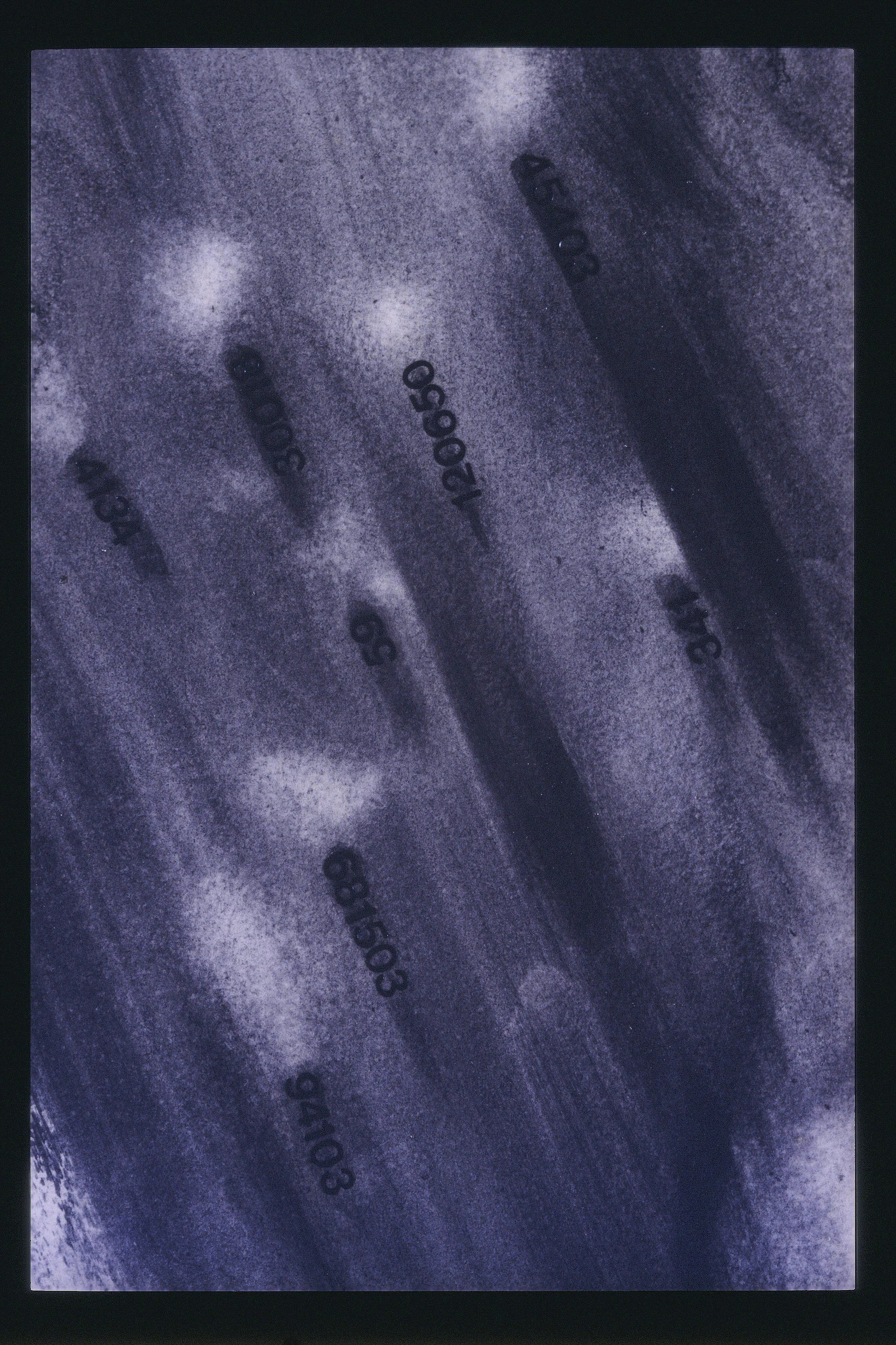 Drawings & Monotypes — Yasuko Bush
